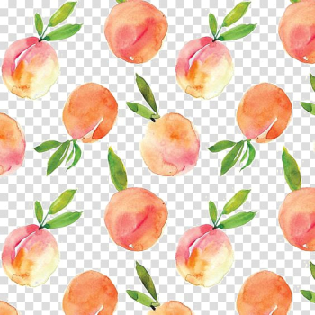 Pomegranate fruit illustration, Peach Watercolor painting Drawing, Peaches Shading transparent background PNG clipart