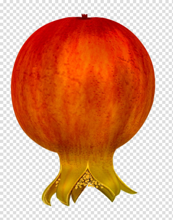 Pomegranate , pomegranate transparent background PNG clipart Pomegranate , pomegranate transparent background PNG clipart