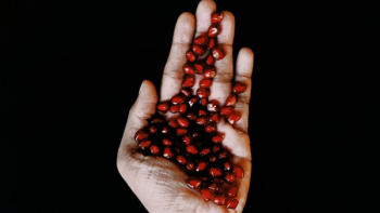 Pomegranate Seeds Pomegranate Seeds