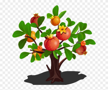 Pomegranate Tree Clip Art - Pomegranate Tree Transparent Pomegranate Tree Clip Art - Pomegranate Tree Transparent