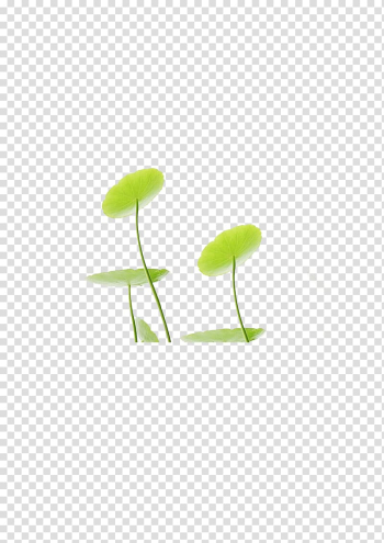 Pond Leaf Designer Petal, Lotus lotus leaf transparent background PNG clipart Pond Leaf Designer Petal, Lotus lotus leaf transparent background PNG clipart