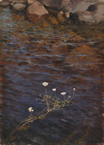 Pond water crowfoot ; pond | Free Photo - rawpixel Pond water crowfoot ; pond | Free Photo - rawpixel