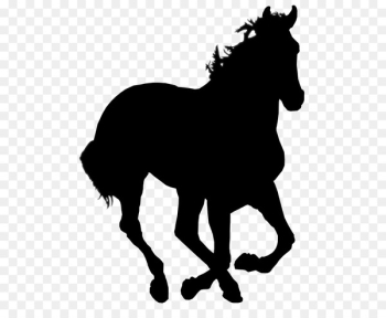 Pony, Mustang, Tiger Horse, Horse, Mane PNG