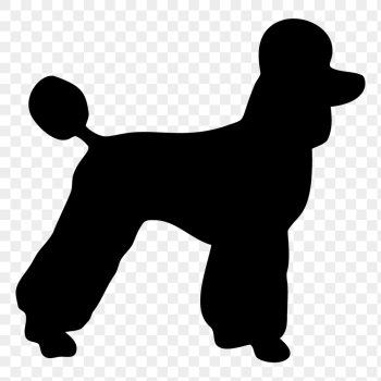 Poodle dog png sticker animal | Free PNG - rawpixel Poodle dog png sticker animal | Free PNG - rawpixel