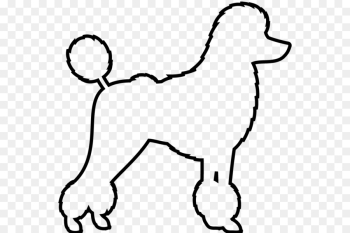 Poodle, Drawing, Line Art, Mammal, Vertebrate PNG Poodle, Drawing, Line Art, Mammal, Vertebrate PNG