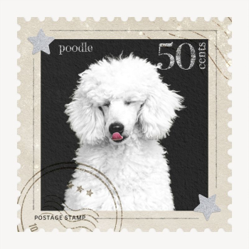 Poodle postage stamp, animal collage | Free PSD - rawpixel Poodle postage stamp, animal collage | Free PSD - rawpixel