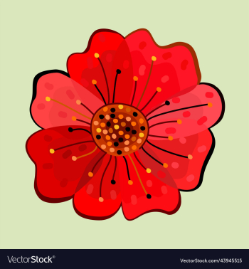 poppy