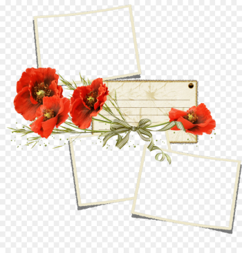 Poppy, Desktop Wallpaper, Drawing, Flower, Plant PNG