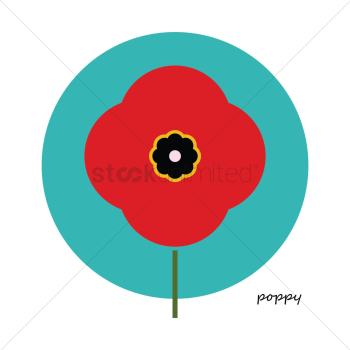 Poppy flower Poppy flower