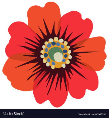poppy flower