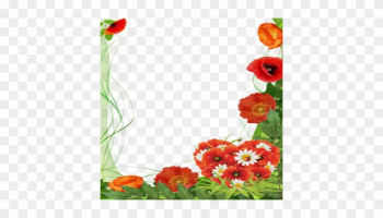 Poppy Flower Frame - Mother's Day Png Frames Poppy Flower Frame - Mother's Day Png Frames