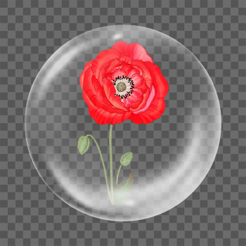 Poppy flower png sticker, Japanese | Free PNG - rawpixel