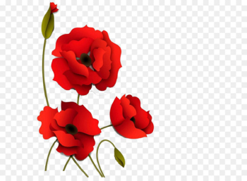 Poppy Flowers Paper - Three-dimensional red flowers Poppy Flowers Paper - Three-dimensional red flowers