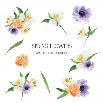 Poppy, lily, peony flowers bouquets  botanical florals llustration watercolor Free Vector