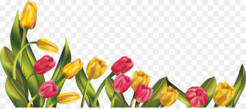 Portable Network Graphics Clip art Indira Gandhi Memorial Tulip Garden Image - tulip 