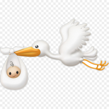 Portable Network Graphics Clip art Infant White stork Image - child 
