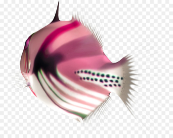Portable Network Graphics Fish Image Download Animal - fish Portable Network Graphics Fish Image Download Animal - fish