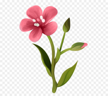 Portable Network Graphics Green Image Flower Color - flower Portable Network Graphics Green Image Flower Color - flower