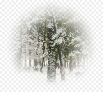 Portable Network Graphics Image Season Winter Blizzard - Portable Network Graphics Image Season Winter Blizzard -