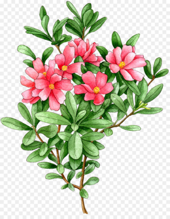 Portable Network Graphics Image Transparency Illustration Clip art - azalea button 