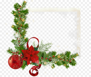 Portable Network Graphics Joulukukka Poinsettia Christmas Day Clip art - december design element 