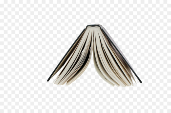 Portable Network Graphics London Book Fair Image The Paying Guests - book 