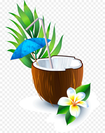 Portable Network Graphics Vector graphics Coconut water Image Juice - coconut drink 