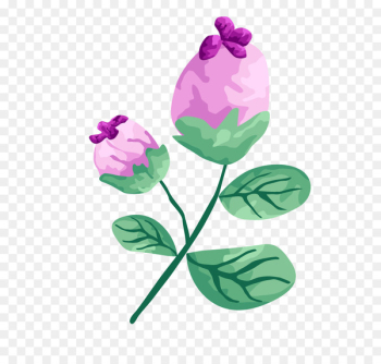 Portable Network Graphics Vector graphics Illustration Encapsulated PostScript Gouache - rose plant 