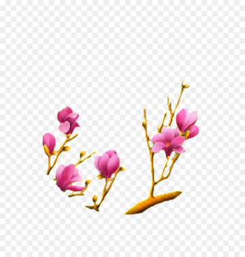Portable Network Graphics Vector graphics Yulan magnolia Magnolia liliiflora Chinese magnolia - blooming pennant 