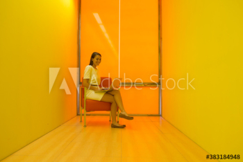 Portrait young businesswoman using laptop in modern yellow office Portrait young businesswoman using laptop in modern yellow office