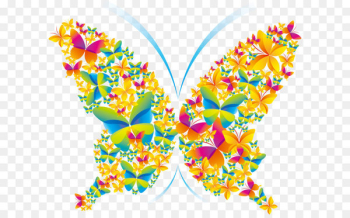 Poster Graphic design - butterfly Poster Graphic design - butterfly