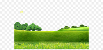 Poster Screensaver High-definition television - Spring background 