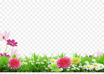 Poster - Spring background poster Poster - Spring background poster