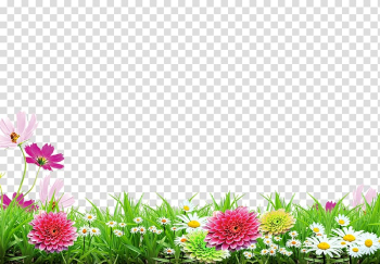 Poster, Spring background poster, assorted-color flowers transparent background PNG clipart