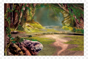 Poster Wallpaper - Forest background Poster Wallpaper - Forest background