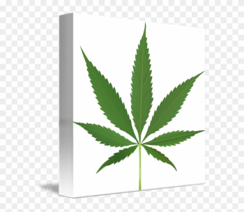 Pot Leaf Pot Leaf