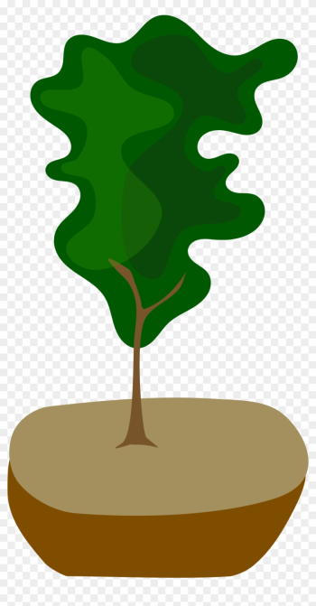Pot Tree, Bonsai, Nature, Pot - Bonsai Pot Tree, Bonsai, Nature, Pot - Bonsai