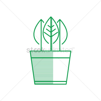 Potted plant with leaves Potted plant with leaves