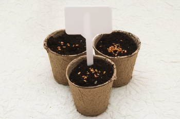 Potted Seeds Potted Seeds