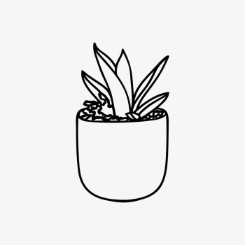 Potted snake plant drawing, botanical | Free PSD - rawpixel Potted snake plant drawing, botanical | Free PSD - rawpixel