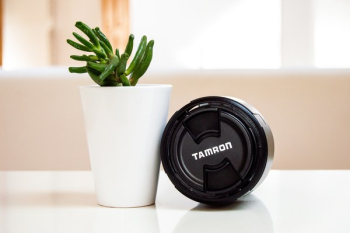 Potted Succulent Plant Beside Tamron Camera Lens Potted Succulent Plant Beside Tamron Camera Lens