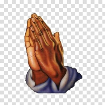 Pray Hands Download Transparent PNG Image Pray Hands Download Transparent PNG Image