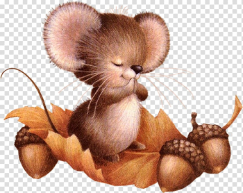 Prayer Heart of an Intercessor God Intercession Love, Squirrel standing on the leaves transparent background PNG clipart
