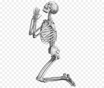 Prayer Human skeleton Anatomy Clip art - Skeleton, Skull And Transparent 