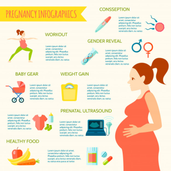 Pregnancy infographic set with preparations for a baby symbols flat vector illustration Free Vector