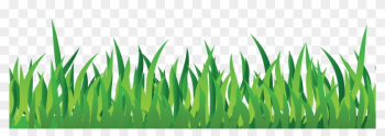 Printable Grass Clipart - Grass Png