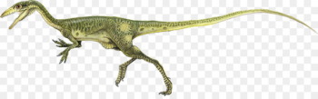 Procompsognathus Brachiosaurus Dinosaur Jurassic Park - dinosaur 