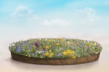 Product backdrop, 3D green grass | Free Photo - rawpixel Product backdrop, 3D green grass | Free Photo - rawpixel