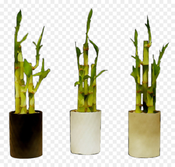 Product design Bamboo - Product design Bamboo -