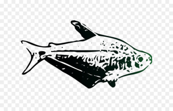 Product design Car Fish Automotive design - Product design Car Fish Automotive design -